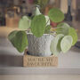 House Plant Pot Stand, thumbnail 9 of 11