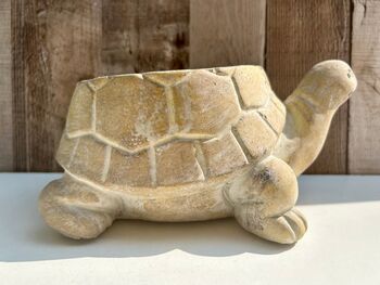 22cm Turtle Plant Pot Distressed Beige Stone Flower Holder Planter, 5 of 7