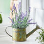 Lavender In Watering Can, thumbnail 1 of 5