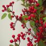60cm Artificial Christmas Natural Red Berry Wreath, thumbnail 7 of 8