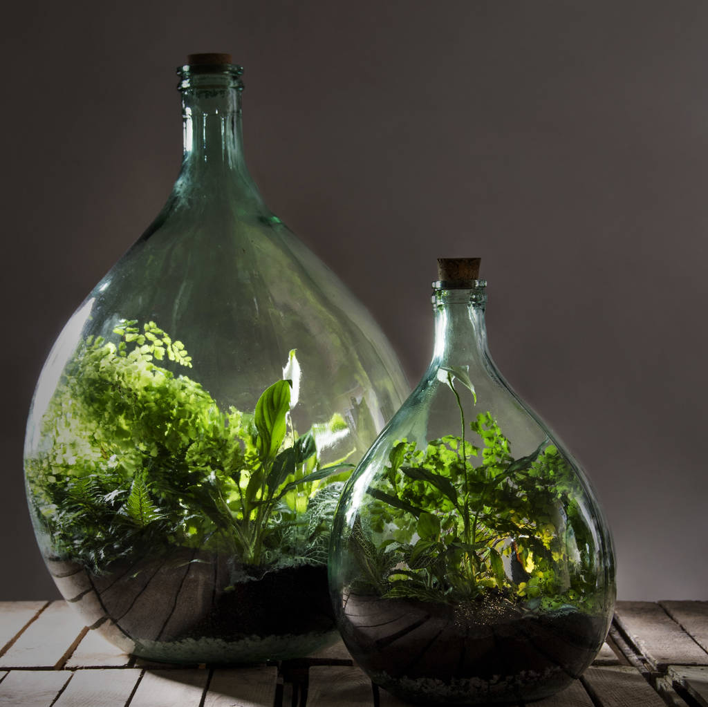 35 Litre Green Glass Terrarium With Terrarium Charcoal By Hunter