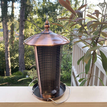 Dual Seed And Nut Bird Feeder With Copper Finish, 3 of 9