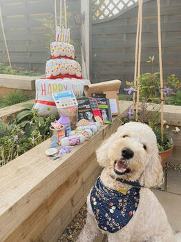 Blue Birthday Boy Dog Bandana, 2 of 2