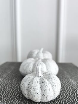 Set Of Three Handmade Granite Pumpkins, 5 of 6