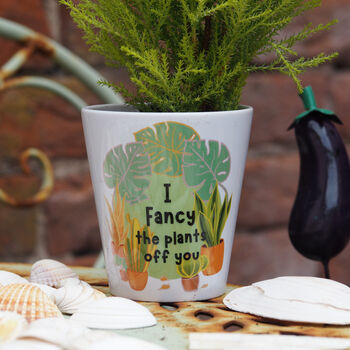 I Fancy The Plants Off You Plant Pot, 2 of 4