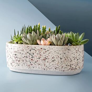 Large Ceramic Succulent Planter Pot Oval With Drainage, 3 of 4