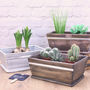 Personalised Wooden Pot Planter, thumbnail 6 of 12