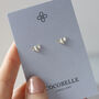 Silver Bee Stud Earrings, thumbnail 5 of 5