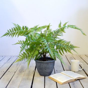 Faux Green Bracken Fern Plant Small Or Large, 2 of 7