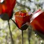 Red Rose Recycled Metal Garden Sculpture, thumbnail 4 of 4