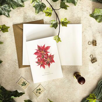 Christmas Botanical Note Card Set, 3 of 6