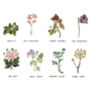 Personalised Secret Message Floral Tea Towel For 80th Birthday, thumbnail 3 of 7