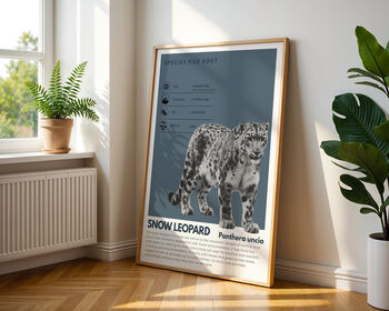 Snow Leopard | Big Cat Art Print, 7 of 8