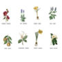 Personalised Secret Message Floral Tea Towel For 80th Birthday, thumbnail 2 of 7