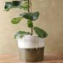 Large Block Green Ceramic Planter, H26cm, thumbnail 5 of 5