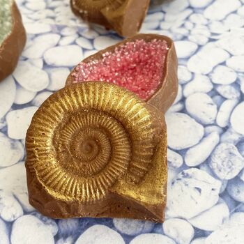 Chocolate Fossils And Amethyst, 2 of 3