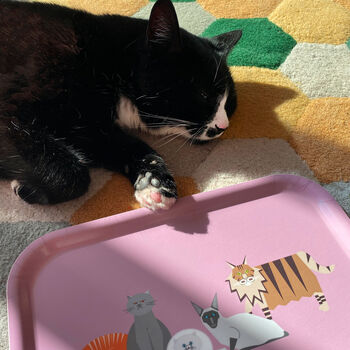 All The Cats Small Wooden Tray, 4 of 7