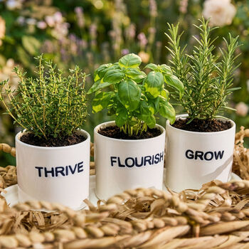 Mother's Day Gin Cocktail Gift Hamper, 5 of 7