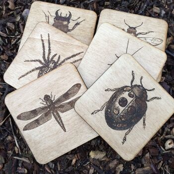Wooden Bug Coasters, 3 of 3