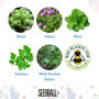 Wildflower And Herb Seeds Create Your Own Gift Set, thumbnail 7 of 12