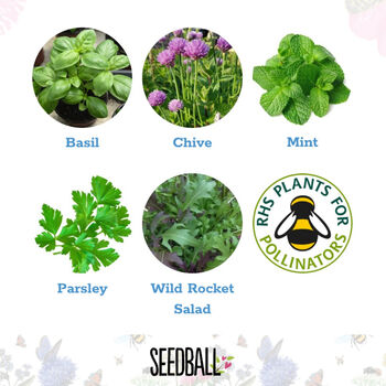 Wildflower And Herb Seeds Create Your Own Gift Set, 7 of 12