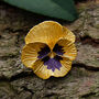 Pansy Yellow Flower Brooch, thumbnail 1 of 6