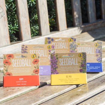 Wildflower Seeds Collection Pack Of Three, 2 of 9