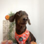 Sweet Marmalade Floral Dog Harness, thumbnail 3 of 4