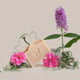 Essential Body And Face Soap Gift Box, thumbnail 2 of 8