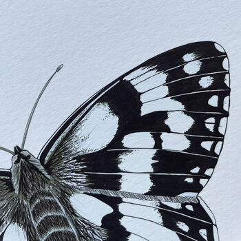 Marbled White Illustrated Butterfly Print, 5 of 5