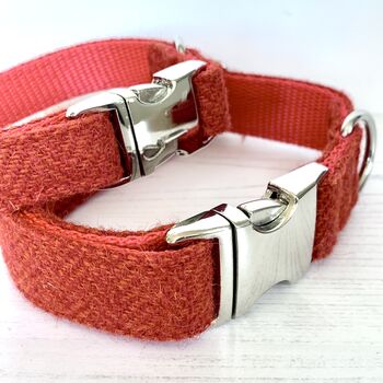 Bonfire Harris Tweed Dog Collar, 4 of 4