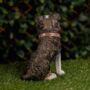 Solar Light Garden Dog Ornament With Tennis Balls LED, thumbnail 5 of 9