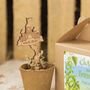 Personalised Magic Beanstalk Kit, thumbnail 3 of 5