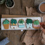 House Plant Biscuit Gift Set, thumbnail 1 of 4