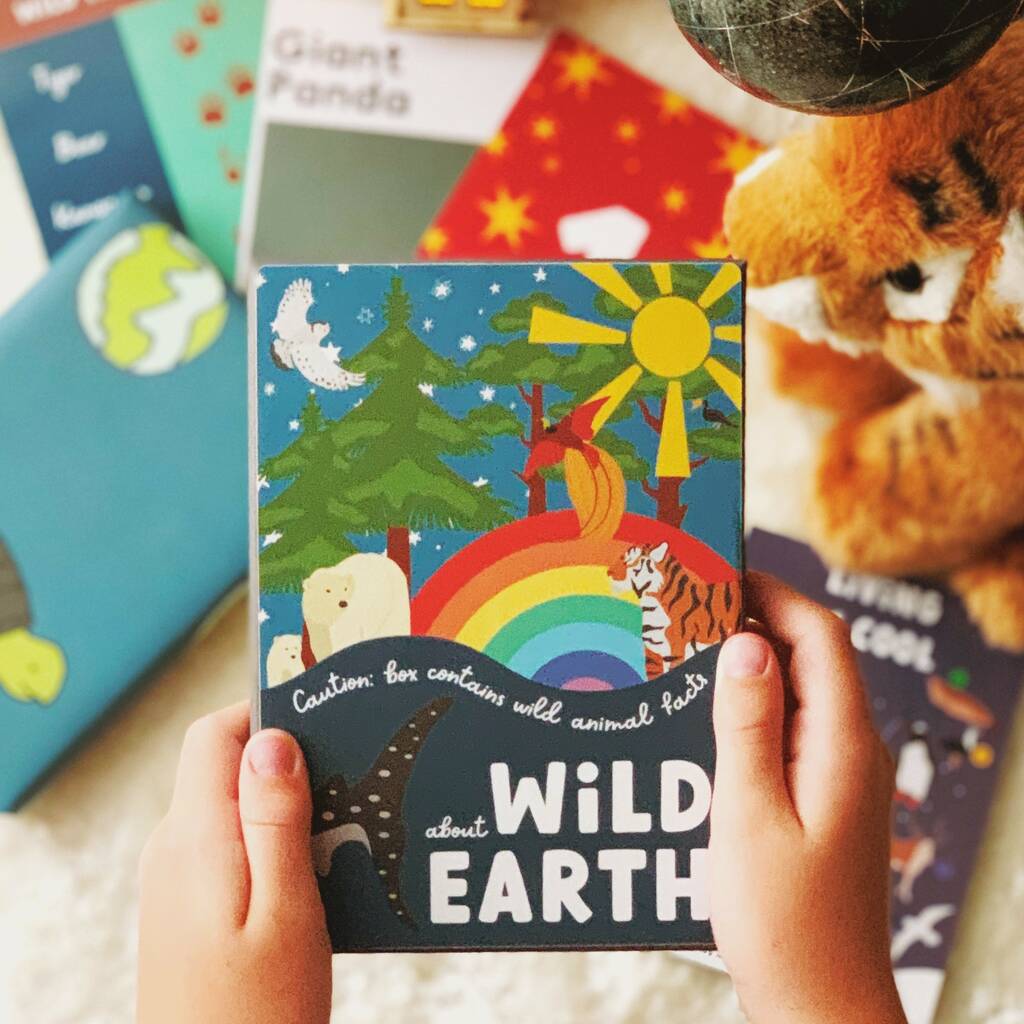 Sustainable Animal Facts And Activity Advent Calendar By Summer Lane