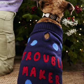 Troublemaker Knitted Dog Jumper, 2 of 9