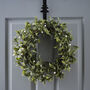 Christmas Mistletoe Wreath, thumbnail 1 of 4