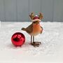 Robin In Christmas Hat, thumbnail 1 of 2