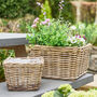 Mitchell Boho Rattan Planter, thumbnail 3 of 4