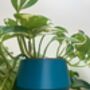 3D Printed Angled Plant Pot – Stylish And Sustainable, thumbnail 8 of 12