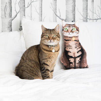 Cat Portrait Pillow, 2 of 5