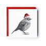 Robin Festive Red Hat Christmas Card, thumbnail 1 of 4