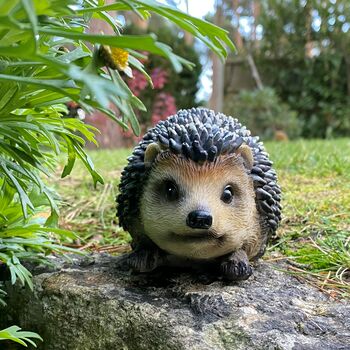Mr Pricklepants Hedgehog Hoglet Garden Ornament, 3 of 6