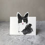 Pop Up Cat Cards, thumbnail 7 of 10