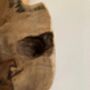 50cm Handcrafted Teak Root Tree Slice Mirror, thumbnail 6 of 9