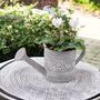 White Cyclamen Plant In Decorative Watering Can, thumbnail 1 of 3