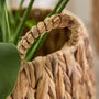 Set Of Two Water Hyacinth Planter Baskets, thumbnail 4 of 6