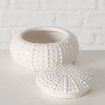 Sea Urchin Small Trinket Dish, 3 of 4