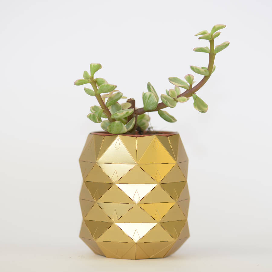 pineapple plant pot by another studio