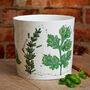 Decorative Ceramic Herb Pot, thumbnail 2 of 5